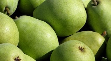 green pears
