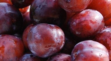 red plum