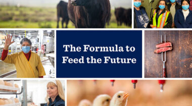 report cover graphic